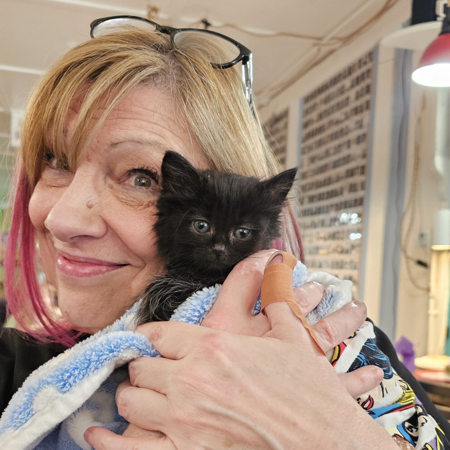 Kitten therapy session at PurrCon