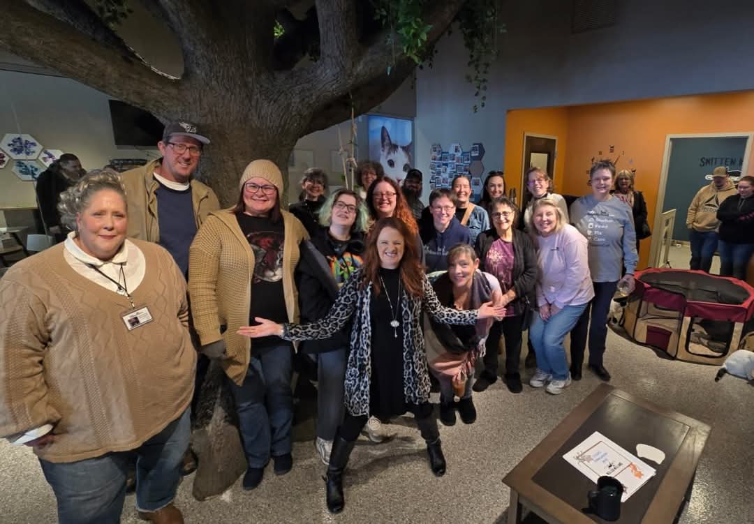 KJ with a group at a cat cafe