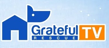 Grateful Rescue TV