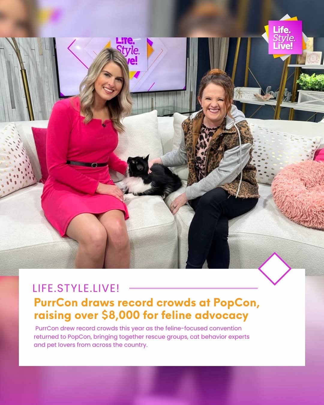 KJ on Life Style Live TV with cat