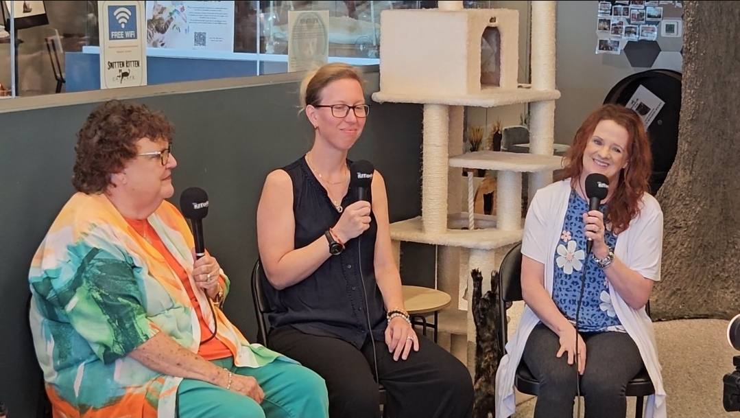 KJ facilitating an intimate panel at a cat cafe
